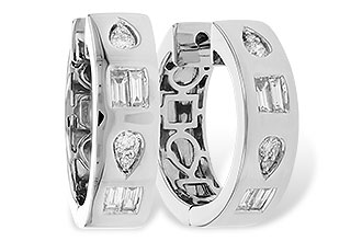 D319-43248: EARR .18 BAG .32 TW