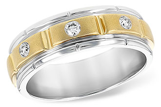 E233-08721: GTS WED RG .16 TW